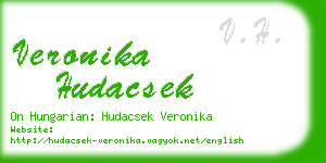 veronika hudacsek business card